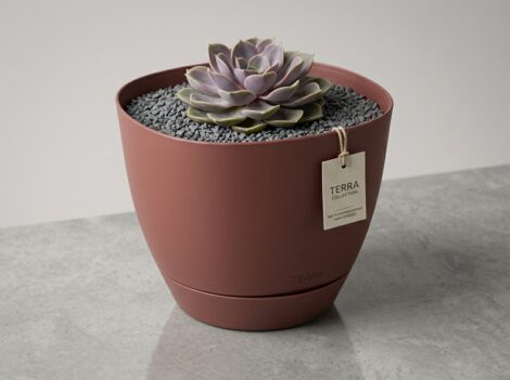 Generar_mockup_de_maceta_202605301445 Generar_mockup_de_maceta_202605301445